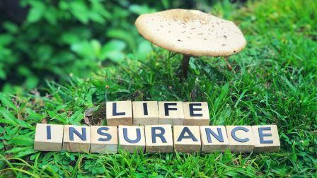 Term vs Whole Life Insurance Choose 1 Better Investment